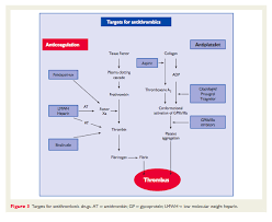 Antithrombotics And Their Targets Pharmacology Nursing Cardiac Nursing Pharmacology