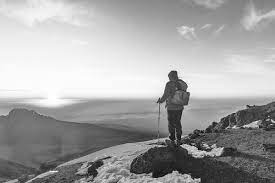 images?q=tbn:ANd9GcRq8r9EofMB_3DI6LE86_x