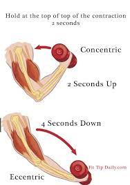 Types Of Isotonic Contraction 1 Concentric Tension In Muscle Is Great Enough To Overcome Opposing Resistance And Muscl Muscle Definition Muscle Yoga Anatomy