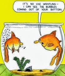 Funny Fish Joke Cartoon Picture Funny Picture Quotes Fishing Jokes Funny Relationship Jokes