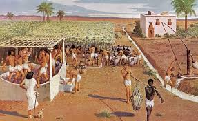 The Vintage Of 1400 Bce Life In Ancient Egypt Ancient Egypt History Ancient Egypt