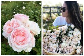 We did not find results for: The Farmer The Florist Interview Grace Rose Farm Floret Flowers