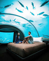 Paradise island resort is one of the most striking features in maldives. Bedroom Under The Sea Maldives Underwater Hotel Travel Vacation