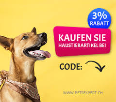 Und was bedeutet er eigentlich? Spanische Hundenamen Weibliche Mannliche Hund Ch