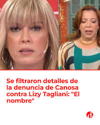 Los detalles de la denuncia de Viviana Canosa contra Lizy Tagliani 👀