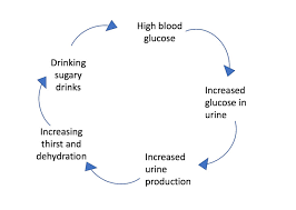 We did not find results for: Type 2 Diabetes Symptoms