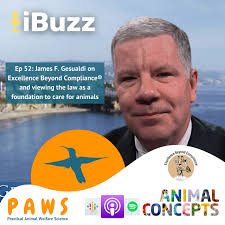 INTERBEING by AnimalConcepts