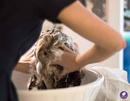 Search & compare hair salons in manchester. How To Charge A Premium Amount For Your Salon S Services Phorest