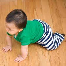 Trainpetdog.com has been visited by 10k+ users in the past month Is It Normal For My Baby To Crawl Backward Babycenter