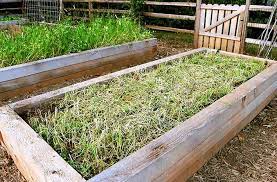 If you do this in the fall, it will be ready in spring. Understanding Cover Crops The Basics And Beyond Joe Gardener