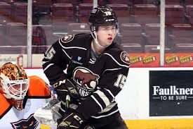 The american hockey league (ahl) is a professional ice hockey league based in the united states and canada that serves as the primary developmental league for the national hockey league (nhl). 8p4myfy7il6lmm