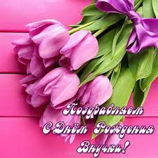 поздравления с днем рождения внучке 3 года в прозе Kartinki S Dnem Rozhdeniya Vnuchki 21 Foto Flowers Rose Plants