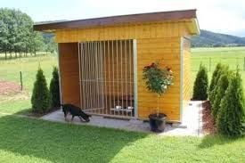 Google Hunde Garten Hundezwinger Hundezwinger Kaufen