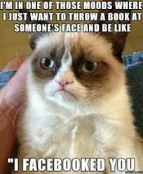 This cute list of funny cat puns includes pet puns for kittens, birthday cat puns, and a host of cat play of words. 100 Cat Puns Ideas Cat Puns Crazy Cats Cats