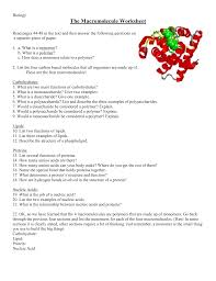 Classify each as a carbohydrate, protein, lipid or nucleic acid. The Macromolecule Worksheet