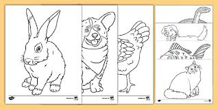 Coloring game