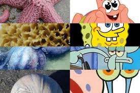 Kartun ini sendiri masih tayang sampai saat ini, bahkan sudah ada tiga film layar lebarnya yang pernah rilis tahun 2004 dan 2015 lalu. 8 Jenis Hewan Laut Di Kartun Spongebob Squarepants