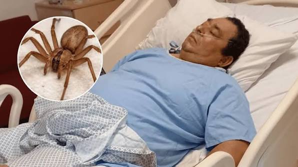POSTA - Araña Violinista: La desesperada lucha de una familia por salvar a  su padre 🔗⬇️ | Facebook