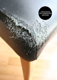 How To Repair Cat Scratched Leather Cat Scratching Leather Restoration Leather Repair