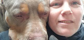 Tracy Eades's Instagram, Twitter & Facebook