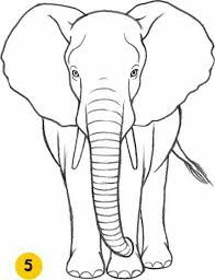 Largest Collection Of Free To Edit Elefant Images Elephant Art Elephant Drawing Animal Drawings