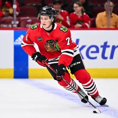 Nick Lardis - Stats, Contract, Salary & More