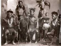 Image result for Oreosyce africana