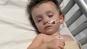 Fundraiser by Lauren Pattison : Little Remys Story x