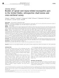 Pdf Burden Of Spinal Cord Injury Related Neuropathic Pain