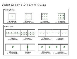 Plants Per Square Feet Chart Plant Spacing Diagram Guide