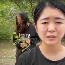 Millions revel in China comeback of pop icon Wang Leehom, dive queen Quan  Hongchan joins fun