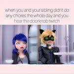 all powers combined miraculous ladybug speededit marinette as new superheroes tran miraculous ladybug anime miraculous ladybug memes miraculous ladybug funny