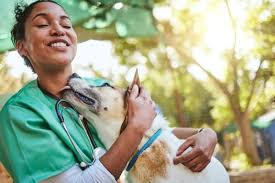 Veterinarians' Role in Community Outreach for Better Animal Health