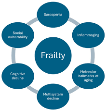 Image result for Frailty
