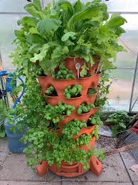 How many worms for garden tower. My Garden Tower Always Comes Through Gardening