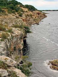 Image result for Prismatocarpus cordifolius