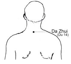 Image result for Dazhui acupoint