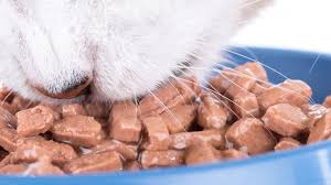 Blue buffalo best dry cat food reddit. Purchase Best Kitten Food Reddit Up To 72 Off