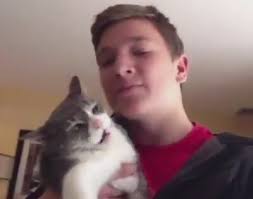 Sahibini Asla Sevmeyen Kedi Izlesene Com