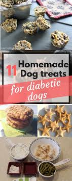 They may not be appropriate for your pet, and any change in your pet's diet should be done under the supervision of a veterinarian. 11 Diabetic Dog Treats Recipes Your Pup Will Love Furry Ark Diabetic Dog Treat Recipe Dog Treat Recipes Dog Biscuit Recipes