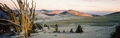 Bristlecone Pines, White Mountains — WARREN MARR