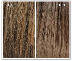 Split enz salon, in new lenox, il, is the area's leading salon serving new lenox, frankfort, mokena and surrounding areas since 2006. Michael Anthony Hair Salon Capitol Hill Washington Dc Split End Correction Treatment