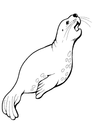 Print Coloring Image Momjunction Animal Coloring Pages Lion Coloring Pages Coloring Pictures