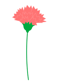 / practice making carnations for parents' day! ì•„ë™ë¯¸ìˆ  ì‰¬ìš´ ì¹´ë„¤ì´ì…˜ ê·¸ë¦¼ ê·¸ë¦¬ê¸°