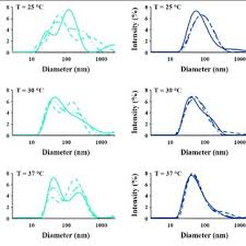 Barbani, niccoletta rosellini, elisabetta donati, marco costantino, paolo cristallini, caterina and ciardelli, gianluca 2017. 0onflfqk21gvom
