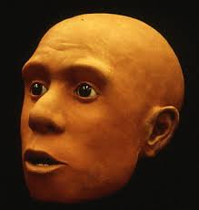 私の仕事・群馬県立自然史博物館２０．常設展示・自然界におけるヒト２０（人間性の起源と進化６・埋葬３）