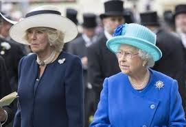 Rezervasyondan sonra telefon numarası ve adresi de dahil olmak üzere tesise ait tüm bilgiler rezervasyon onayınızda ve hesabınızda sunulmaktadır. Las Humillaciones Que Sufrio Camila Parker Bowles Por Parte De La Reina Isabel Ii Una Enemistad Ya Enterrada