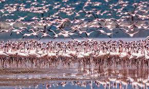 8 Most Beautiful Nature Photos Of November Voted By National Geographic Download the perfect beautiful nature pictures.