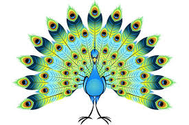 Big Bird With Colorful Feathers Peacock Bird Colorful Feather Beautiful Affiliate Bird Peacock Colorful Beautiful Feather Ad Peacock Vector Peacock Illustration