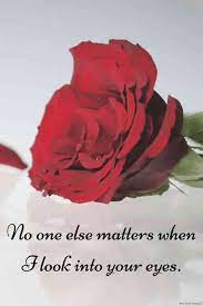 Beautiful quotes romantic flowers for her. Romantic Good Morning Love Quotes For Her Best Collection Good Morning Flowers Morning Love Quotes Good Morning Love